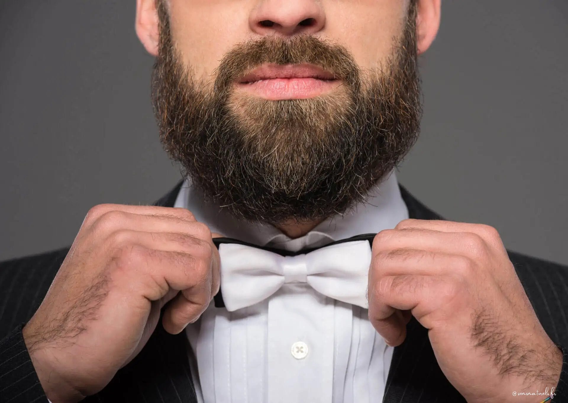 barbe courte